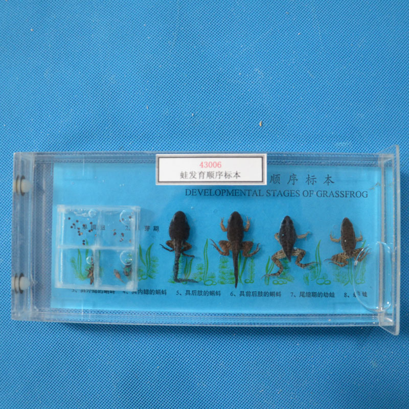 43006ܰl(f)(bio)