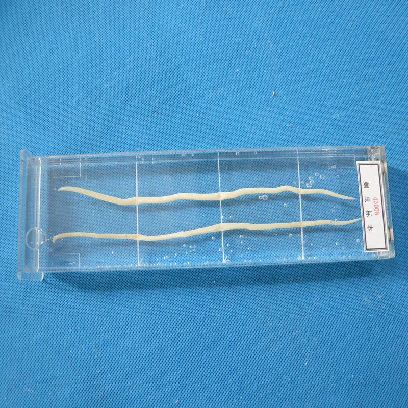 43008x(bio)